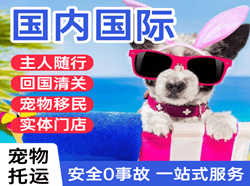 石河子空运国际宠物托运 【国